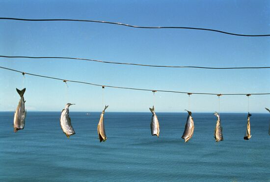Kuril Islands