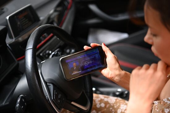 Russia Putin Direct Line