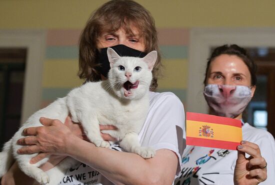 Russia Soccer Euro 2020 Animals Prediction