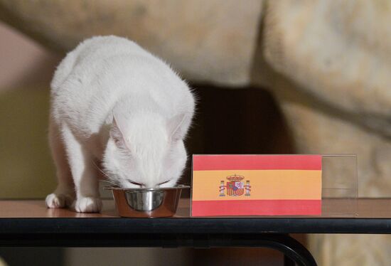 Russia Soccer Euro 2020 Animals Prediction