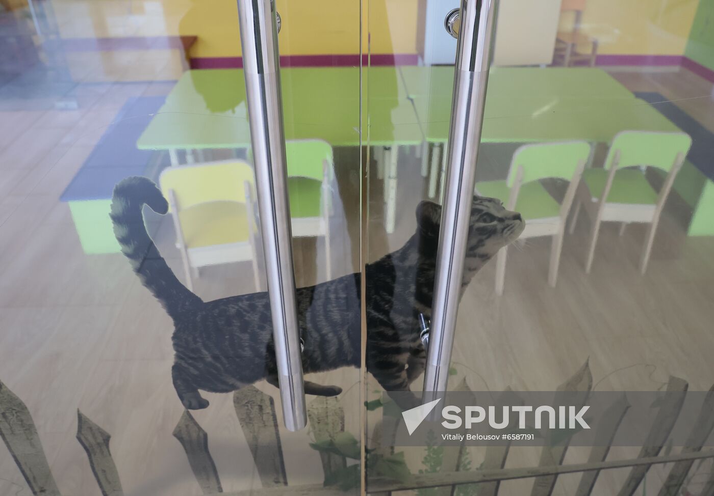 Russia Coronavirus Restrictions 