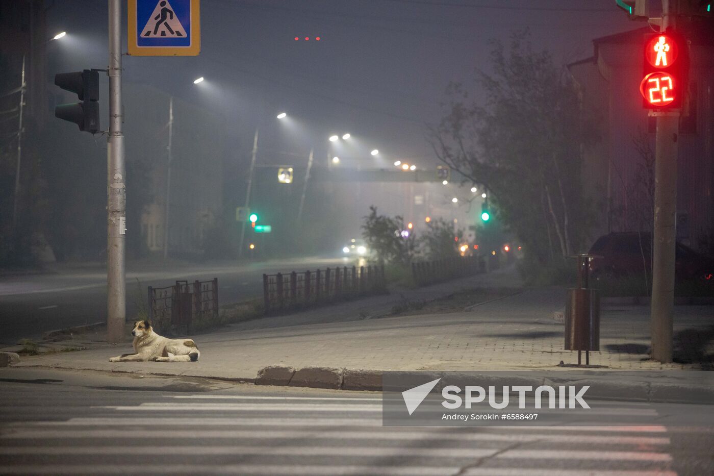 Russia Forest Fires Smog