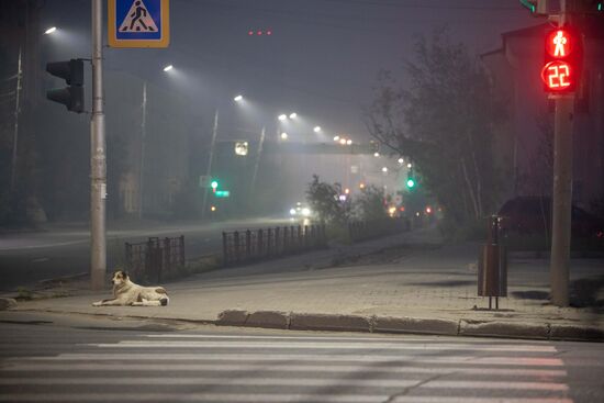 Russia Forest Fires Smog