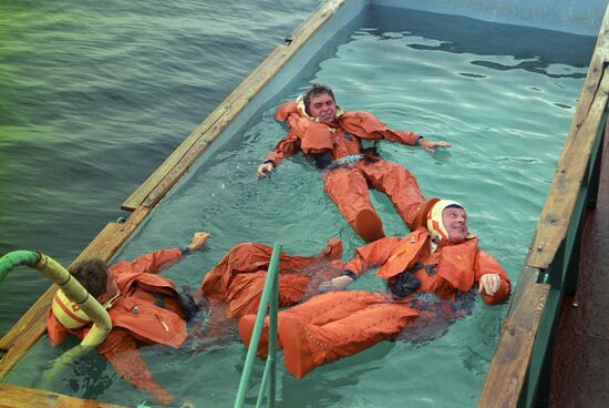 Second Soviet-French space mission