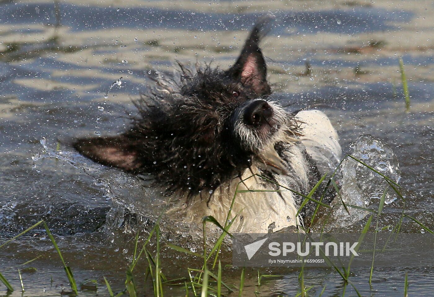 Russia Summer