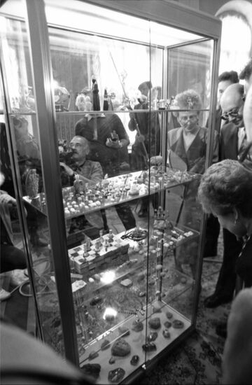Igor Bondarenko's collection of amber