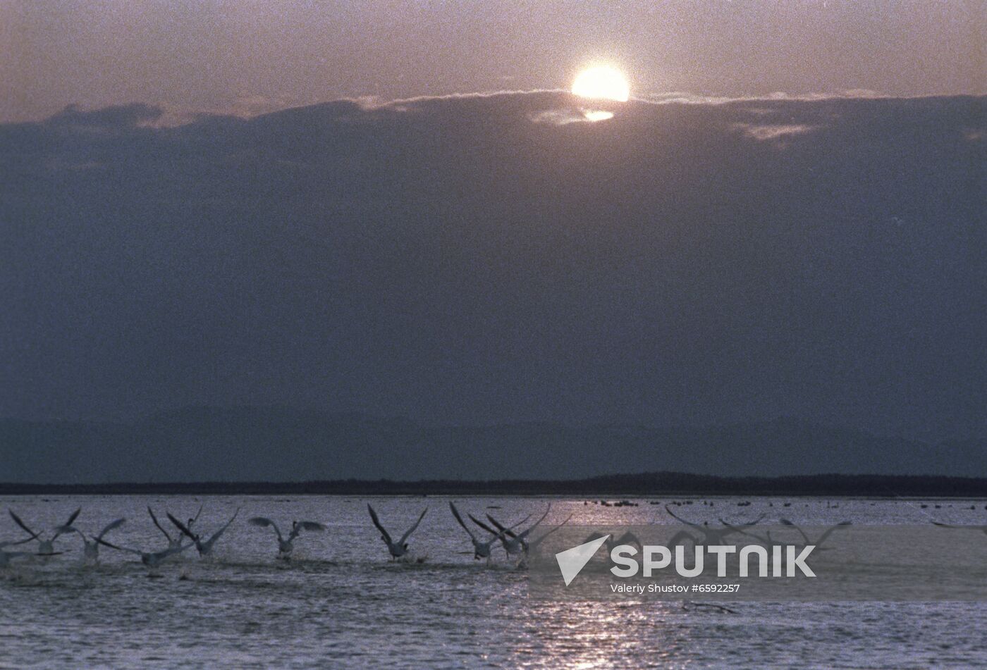 Sakhalin Island