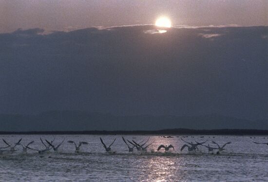 Sakhalin Island