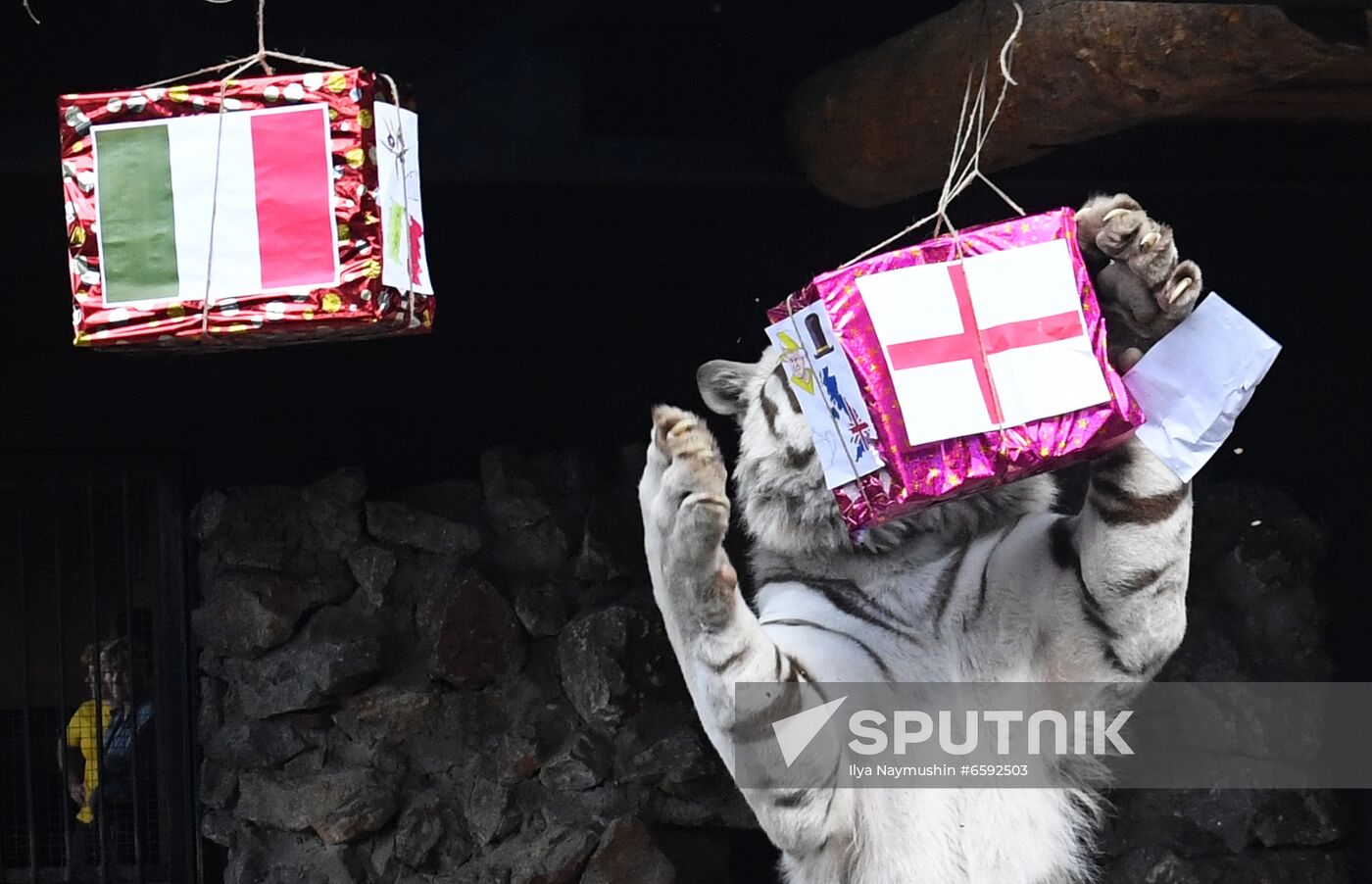 Russia Soccer Euro 2020 Animals Prediction