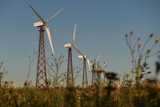 Russia Wind Farm