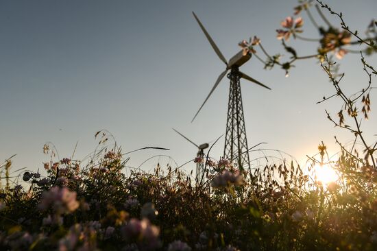 Russia Wind Farm