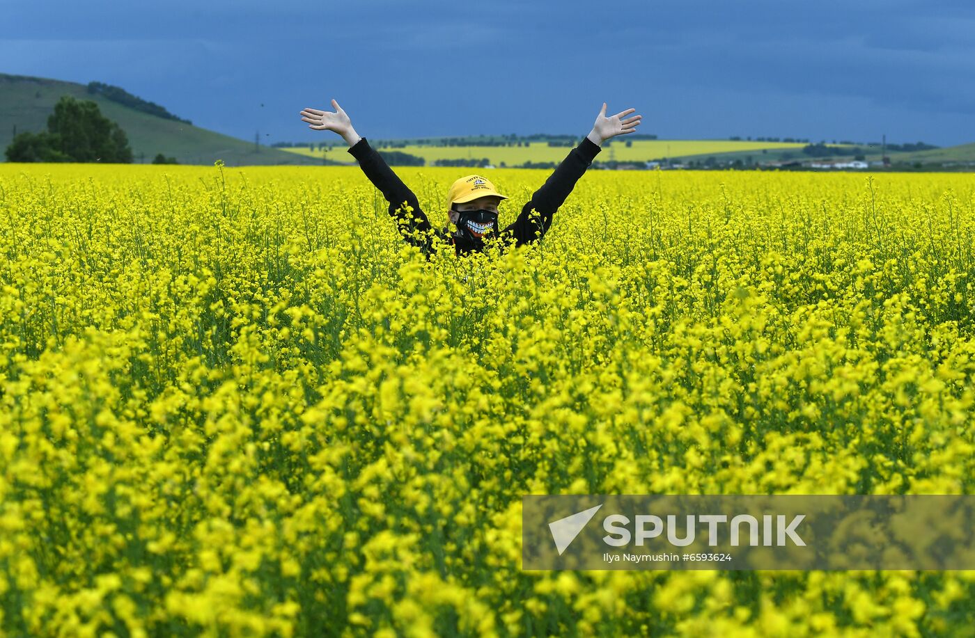 Russia Rapeseed Blossom