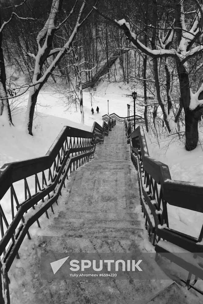 Wooden staircase in park