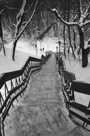 Wooden staircase in park