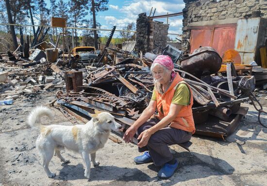Russia Wildfires