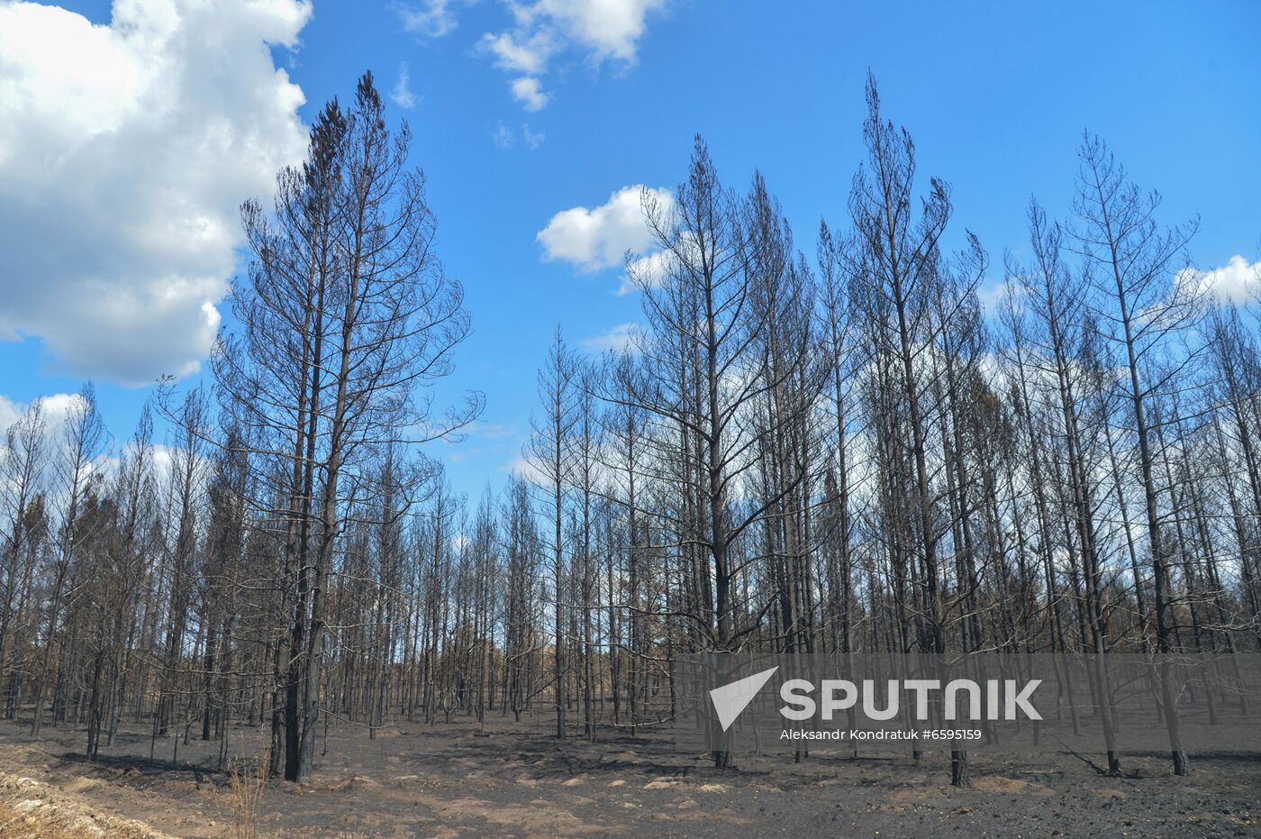 Russia Wildfires