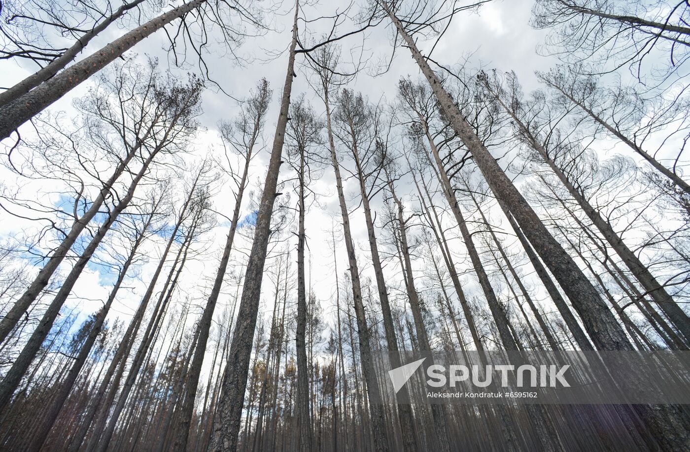 Russia Wildfires
