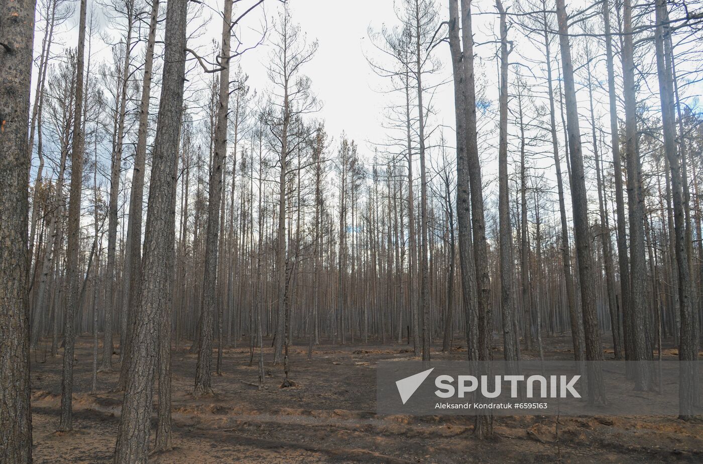 Russia Wildfires