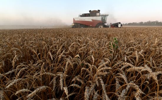 Russia Agriculture Wheat Harvesting