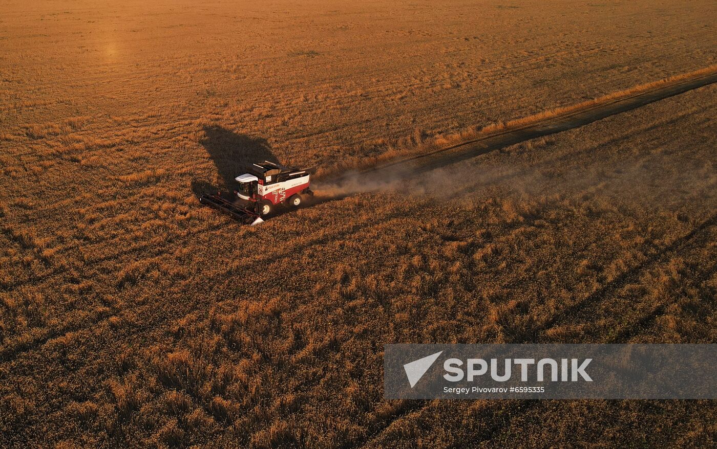 Russia Agriculture Wheat Harvesting