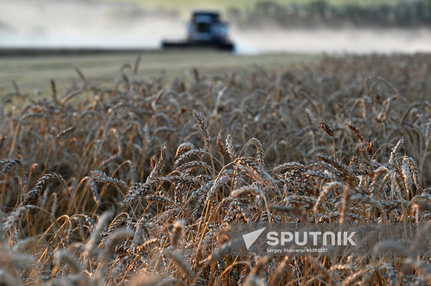 Russia Agriculture Wheat Harvesting