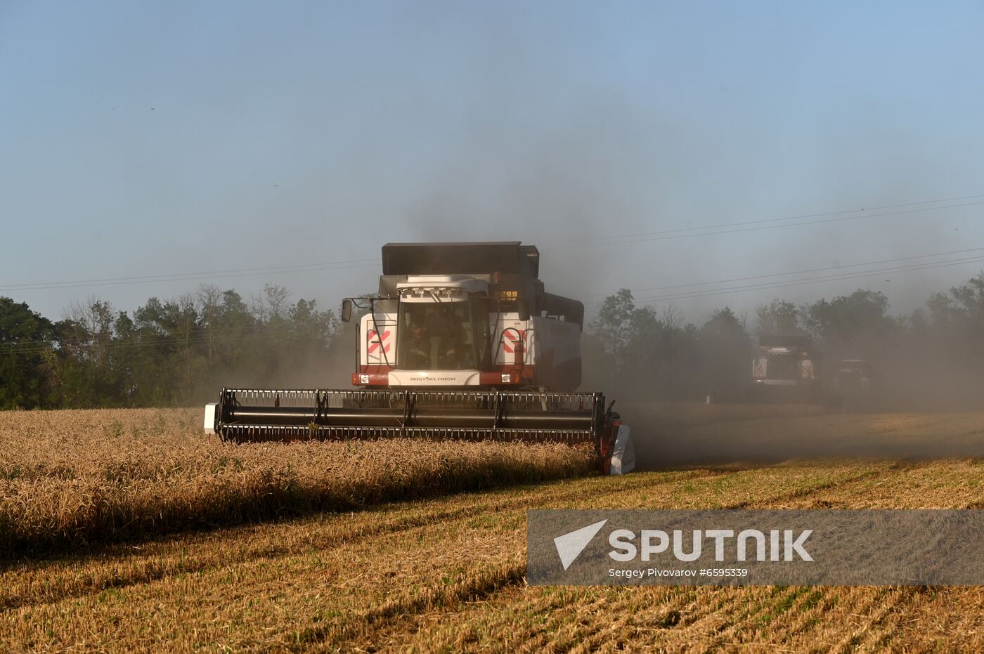 Russia Agriculture Wheat Harvesting