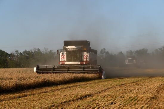 Russia Agriculture Wheat Harvesting