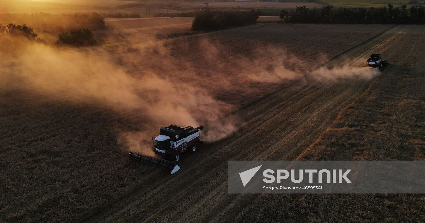 Russia Agriculture Wheat Harvesting