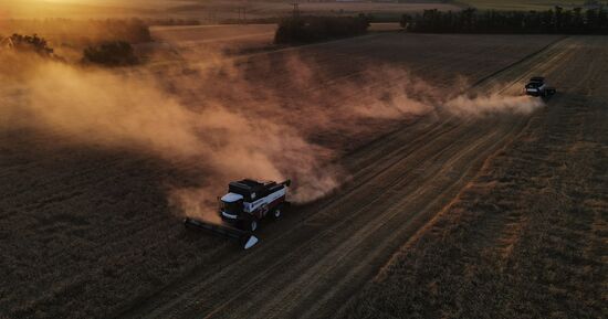 Russia Agriculture Wheat Harvesting