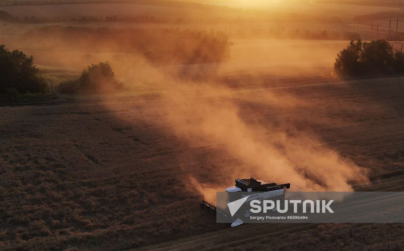 Russia Agriculture Wheat Harvesting