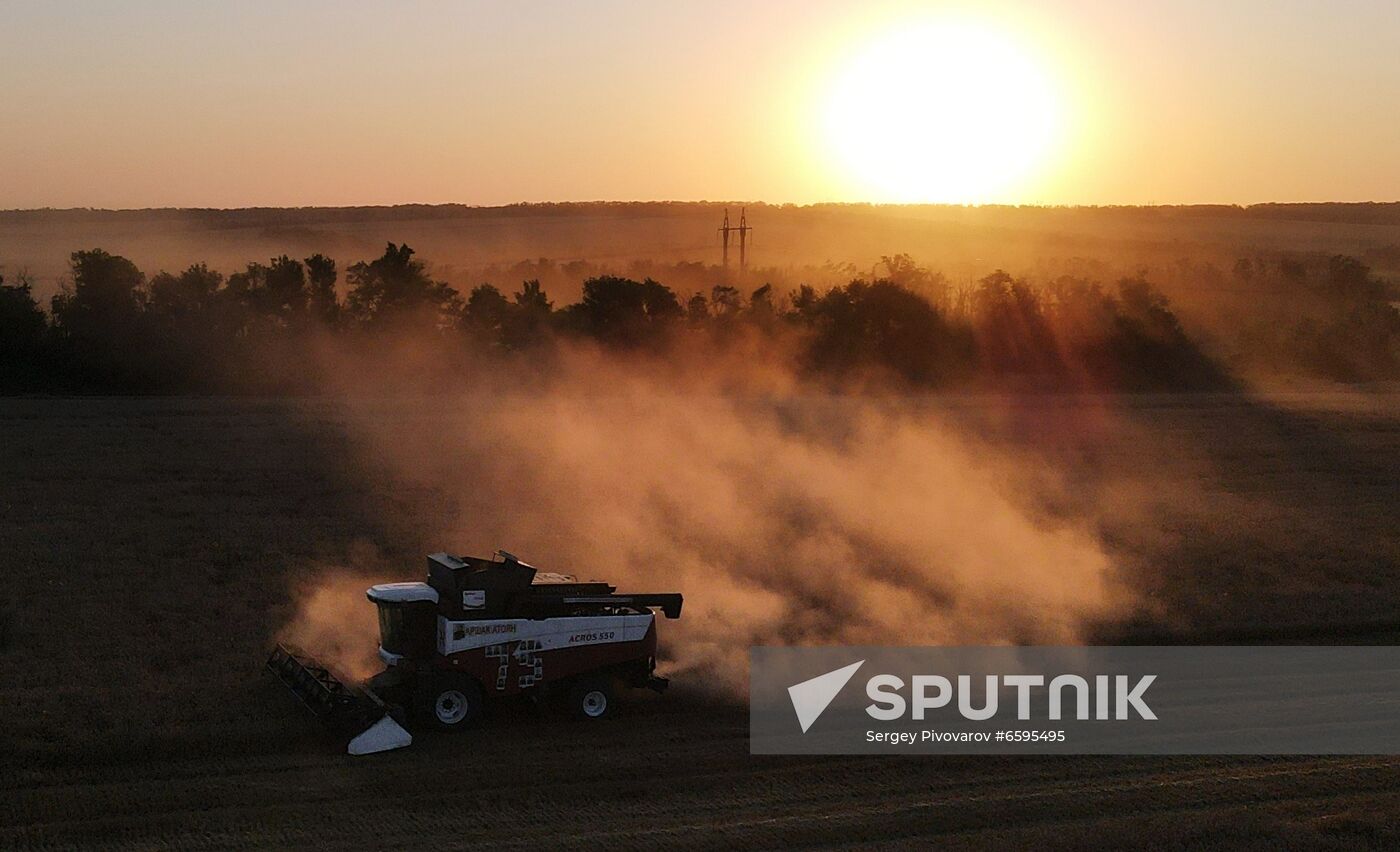 Russia Agriculture Wheat Harvesting