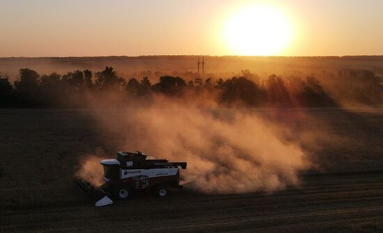 Russia Agriculture Wheat Harvesting