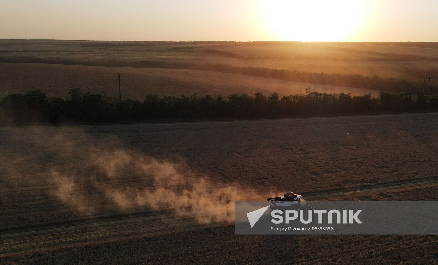 Russia Agriculture Wheat Harvesting