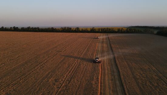 Russia Agriculture Wheat Harvesting