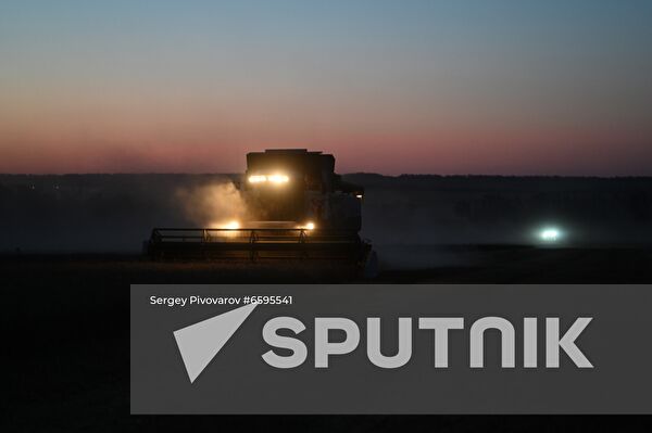 Russia Grain Harvesting