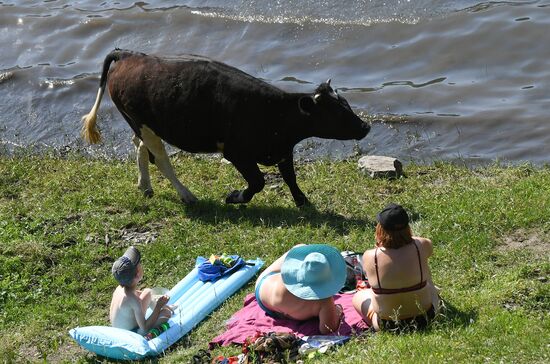 Russia Summer