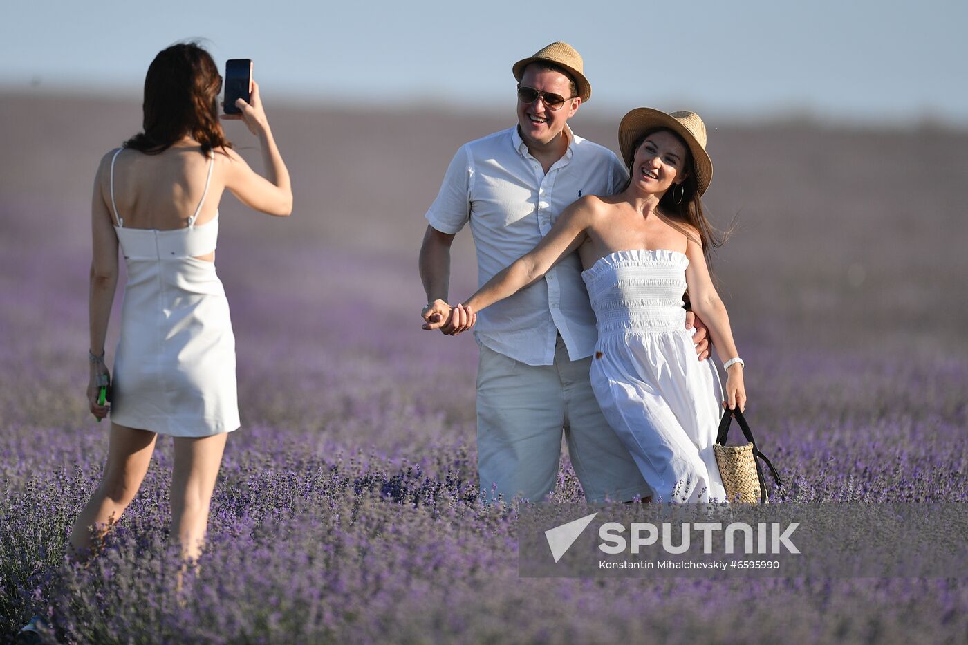 Russia Crimea Lavender Fields