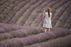 Russia Crimea Lavender Fields