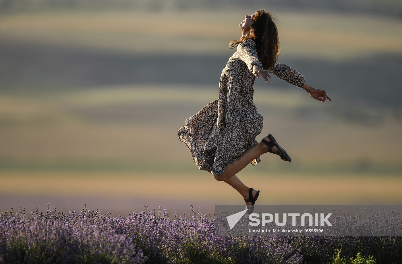 Russia Crimea Lavender Fields