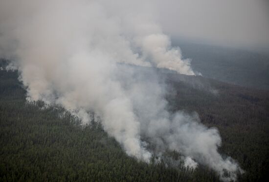 Russia Wildfires