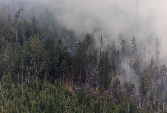 Russia Wildfires