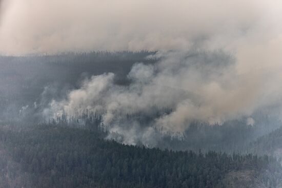 Russia Wildfires