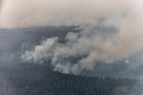 Russia Wildfires