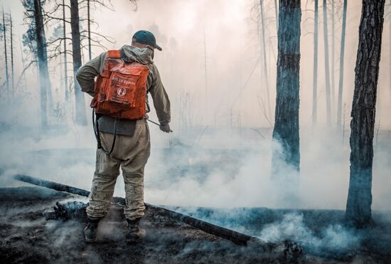 Russia Wildfires