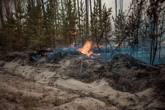 Russia Wildfires