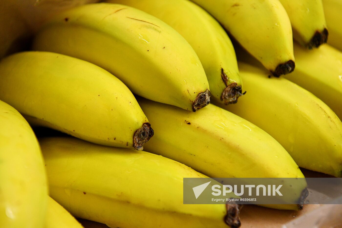Selling bananas in Moscow