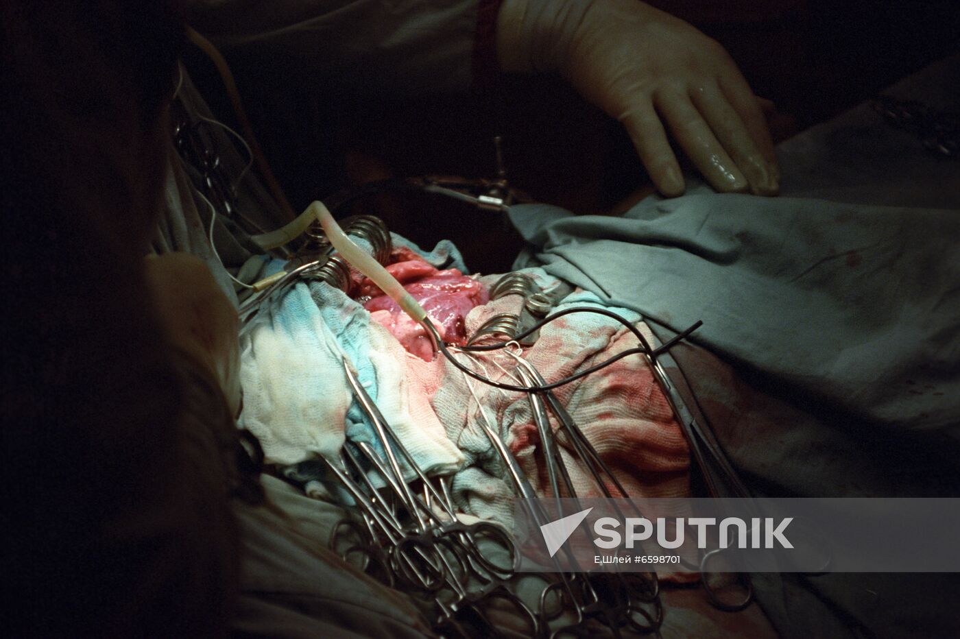 Novosibirsk Research Institute of Blood Circulation Pathology of Russian Healthcare Ministry