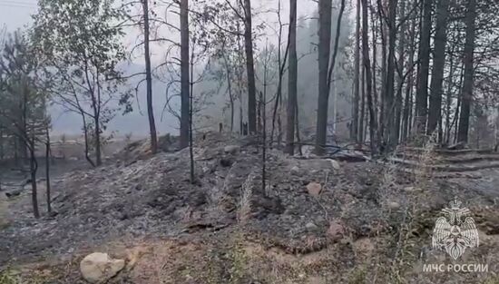 Russia Wildfires