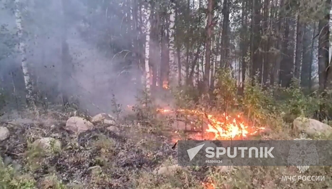 Russia Wildfires