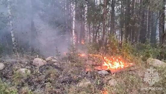 Russia Wildfires
